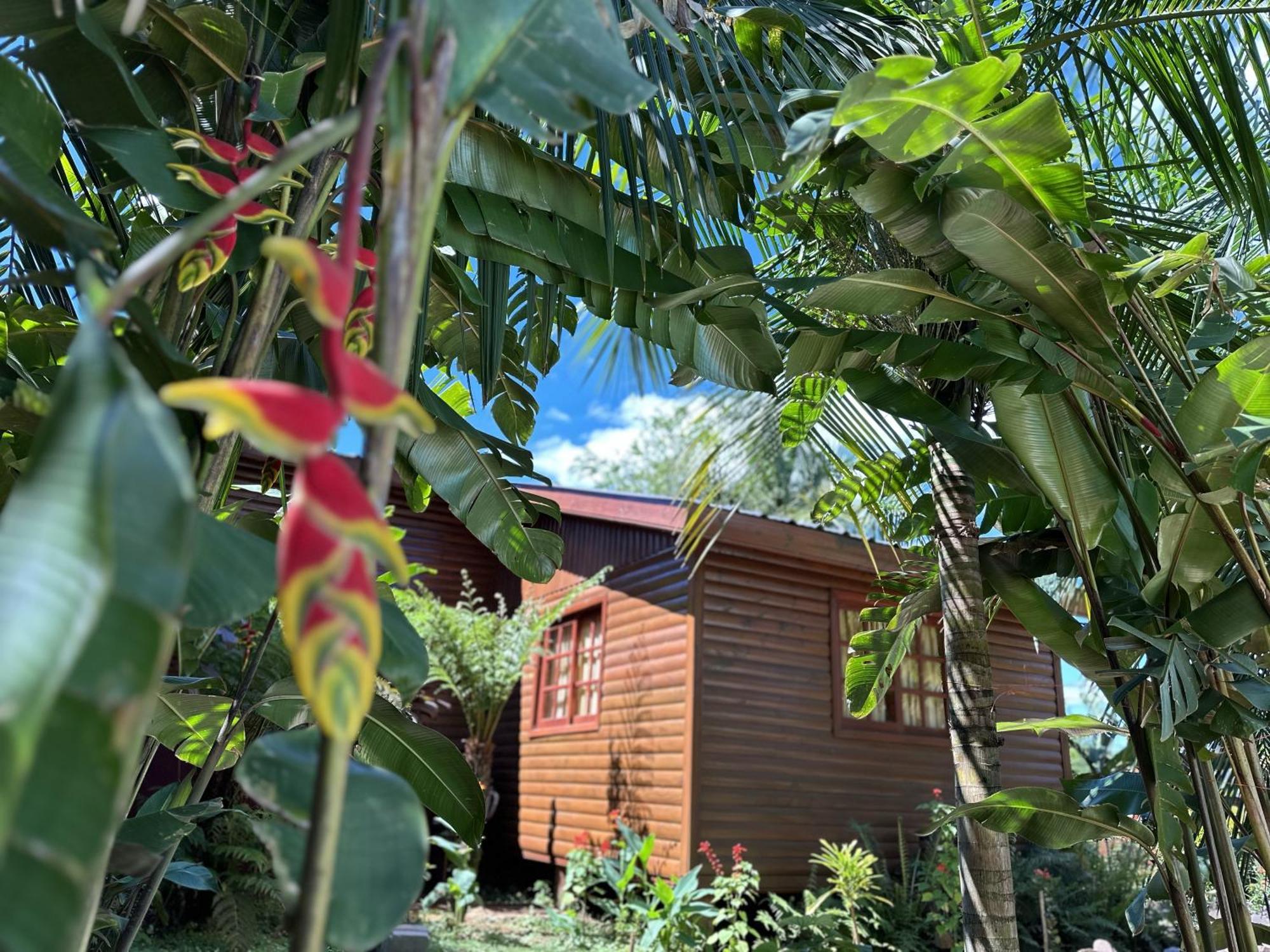 Terra Lodge Puerto Iguazú Extérieur photo